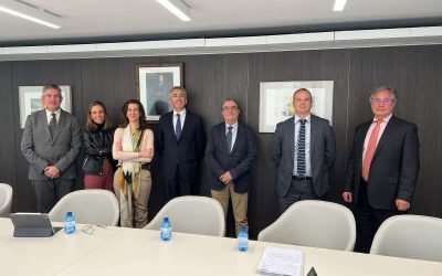 Los peritos piden a la DGSFP modificar las relaciones entre aseguradoras y proveedores