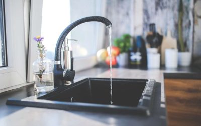 Control de plagas y manitas, las asistencias que más crecieron en el seguro de Hogar en 2024